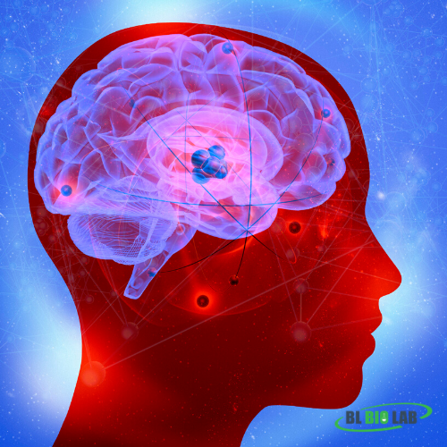 Brain Health Supplement Manufacturing