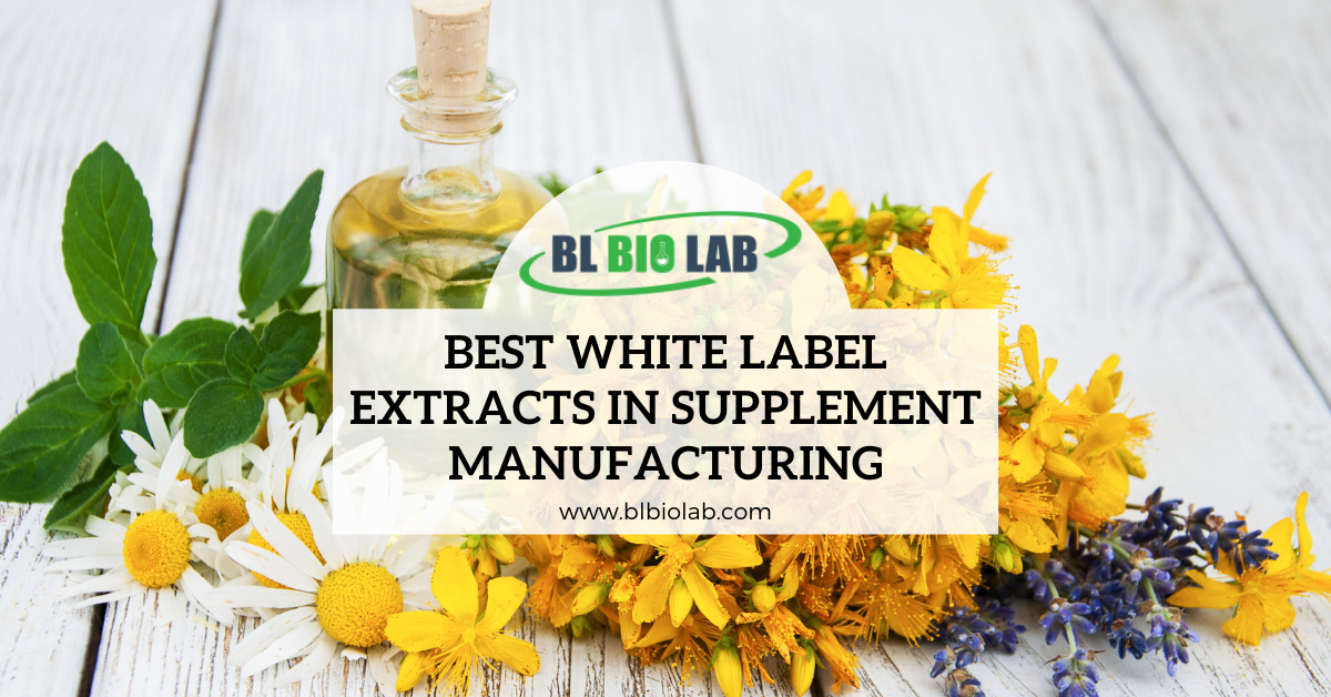 Best White Label Extracts in Supplement Manufacturing