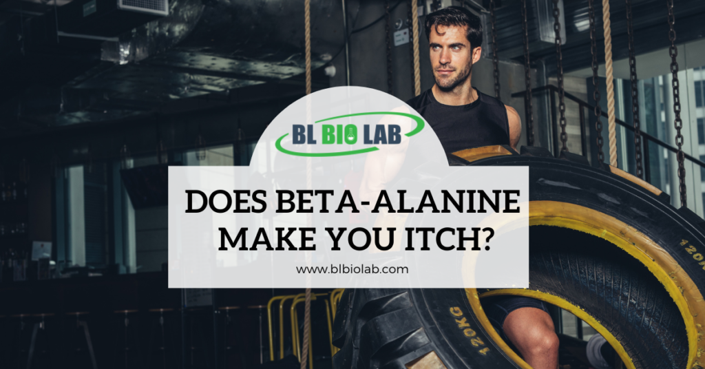 Does Beta-Alanine Make You Itch? - Beta-Alanine Supplement Manufacturing